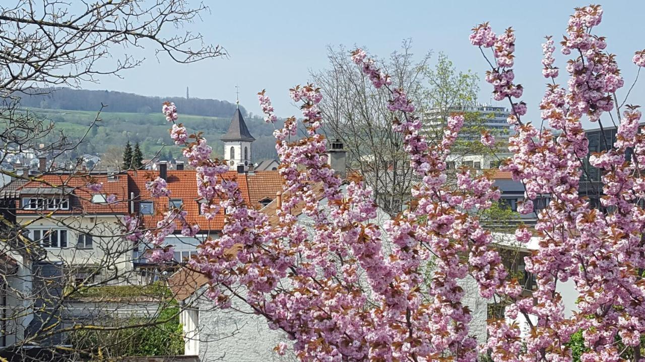 Villa Am Rosenfelspark Lörrach Εξωτερικό φωτογραφία