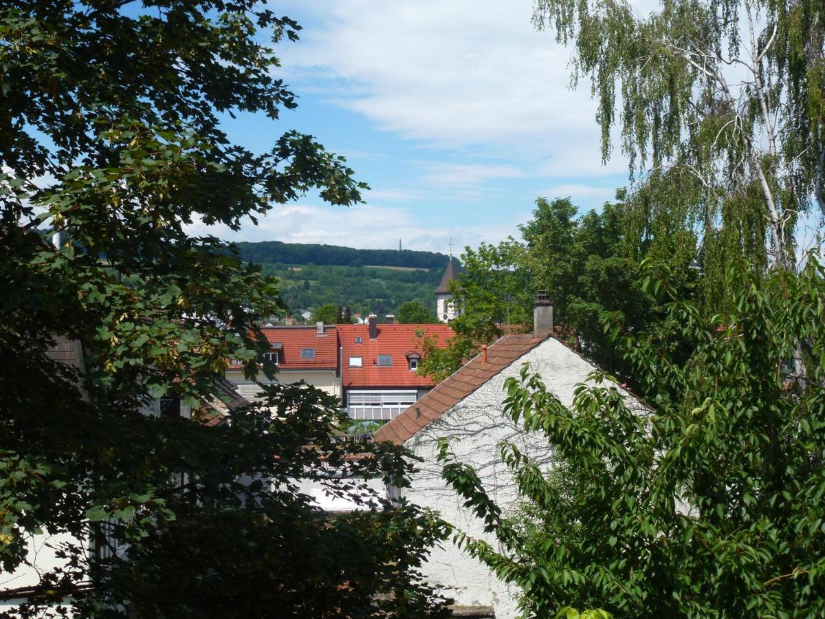 Villa Am Rosenfelspark Lörrach Εξωτερικό φωτογραφία