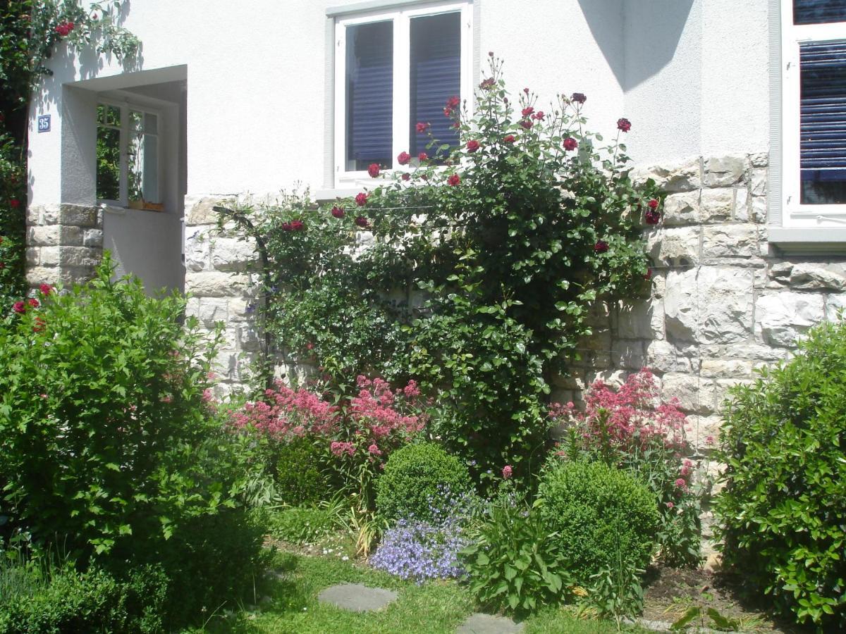Villa Am Rosenfelspark Lörrach Εξωτερικό φωτογραφία