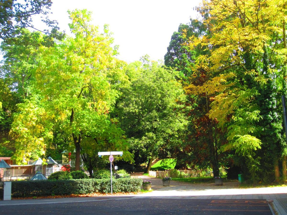 Villa Am Rosenfelspark Lörrach Εξωτερικό φωτογραφία