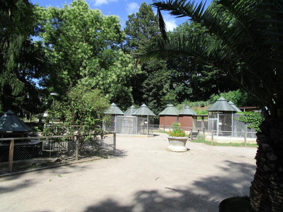 Villa Am Rosenfelspark Lörrach Εξωτερικό φωτογραφία